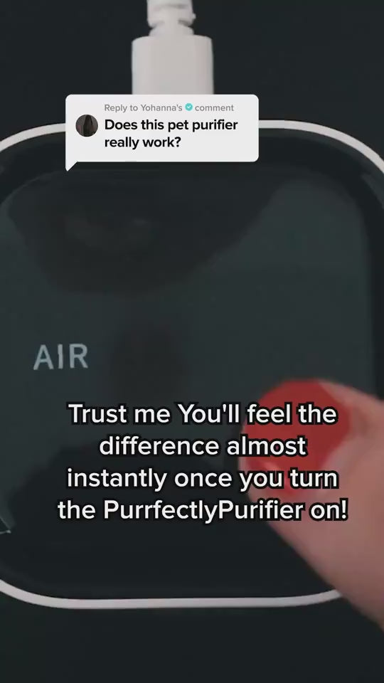 1.mp4